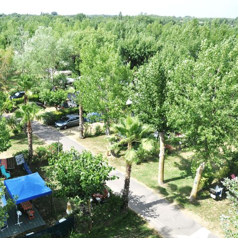 Kampeerplaats - 6A