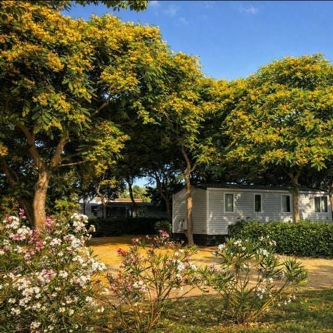 Stacaravan 6 personen - MH PREMIUM 2