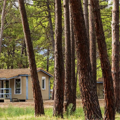 Chalet 4 personen - Chalet met airconditioning