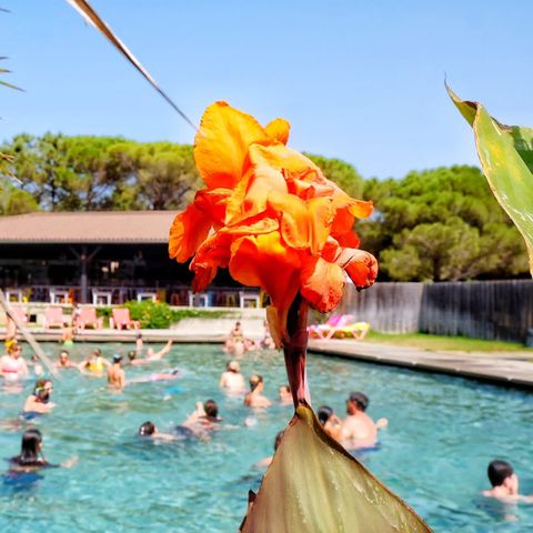 Camping Ras L'Bol - Camping Zuid-corsica - Afbeelding N°2
