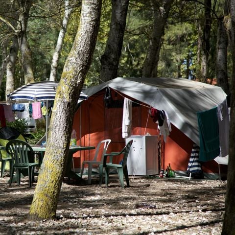 Kampeerplaats - Standplaats pakket