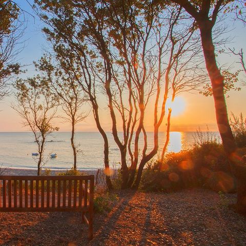 Villa 4 personen - Mii-Villa Type B2 (begane grond, mezzanine)