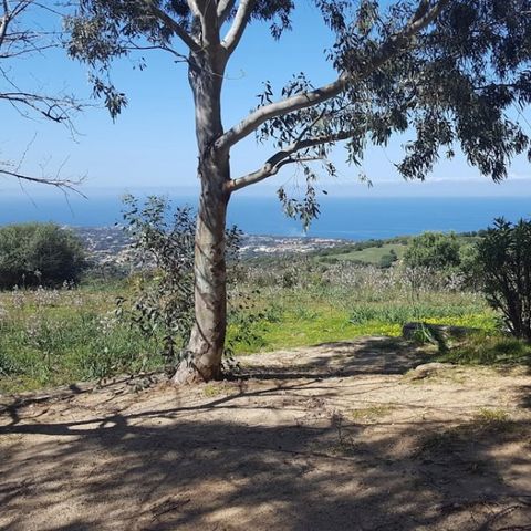 Camping Le Panoramic - Camping Noord-corsica - Afbeelding N°6
