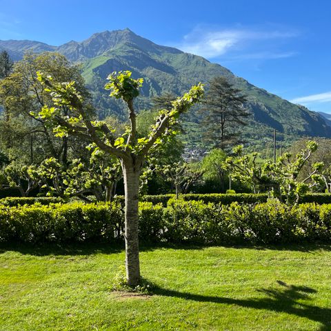 Camping Du Valentin - Camping Pyrénées-Atlantiques - Afbeelding N°3