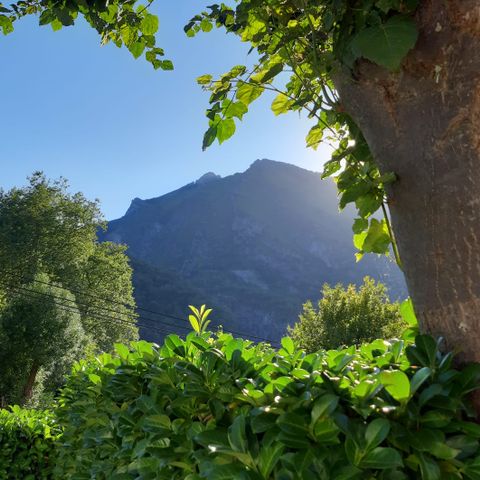 Camping Du Valentin - Camping Pyrénées-Atlantiques - Afbeelding N°2