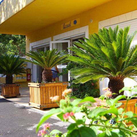 Camping International - Var - Afbeelding N°4