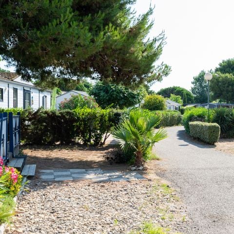 Domaine Les Mûriers - Camping Hérault - Afbeelding N°6