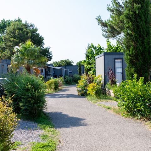 Domaine Les Mûriers - Camping Hérault - Afbeelding N°4