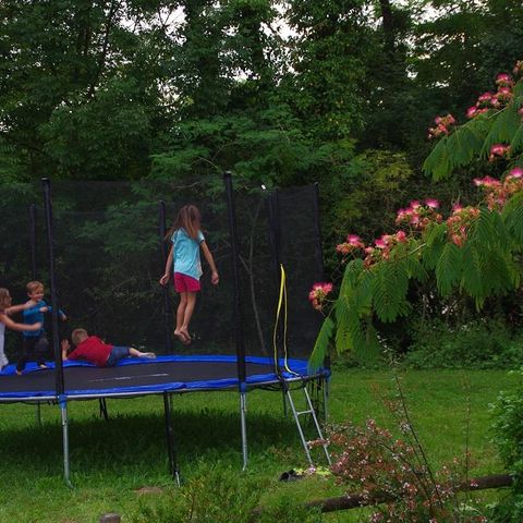 Camping Pyrénées Passion - Camping Pyrénées-Atlantiques - Afbeelding N°4