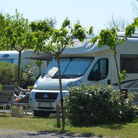 Kampeerplaats - Klassiek – Caravan - Camper of tent – met elektriciteit