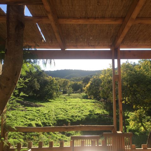Lodge 6 personen - Natuur Lodge
