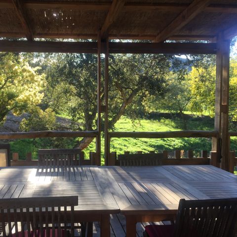 Lodge 6 personen - Natuur Lodge