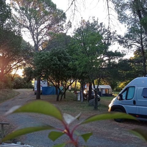 Camping Les Terrasses - Camping Hérault - Afbeelding N°6