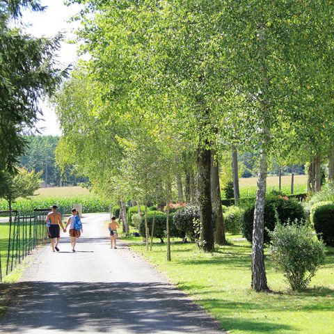 Camping l'Orée du Bois by Noricamp - Camping Pyrénées-Atlantiques - Afbeelding N°4