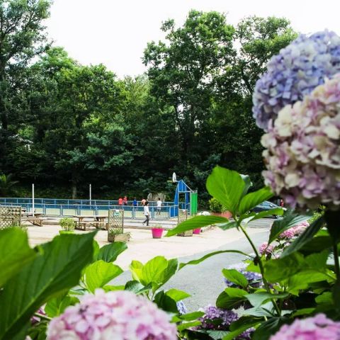 Camping Bela Basque - Camping Pyrénées-Atlantiques - Afbeelding N°6