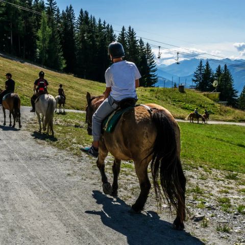 Camping Sainte Victoire - Bouches-du-Rhône - Afbeelding N°6