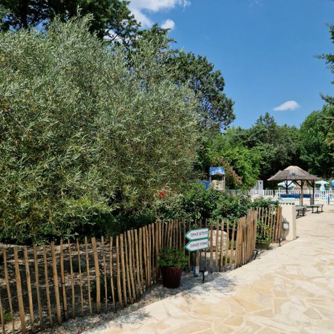 Camping Le Parc - Camping Hérault - Afbeelding N°5
