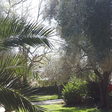 Camping La Camassade - Camping Alpes-Maritimes - Afbeelding N°5