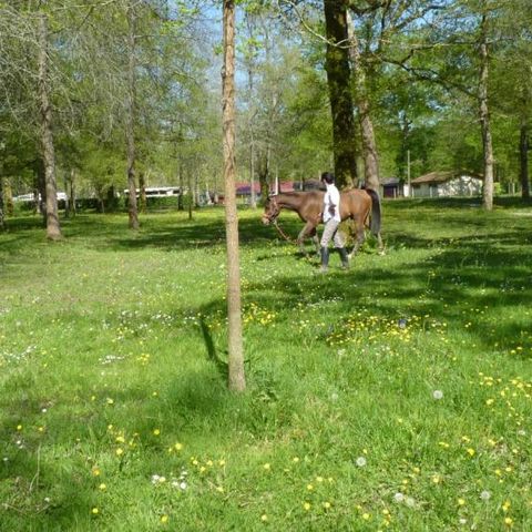 Camping Le Bascat - Camping Landes - Afbeelding N°3