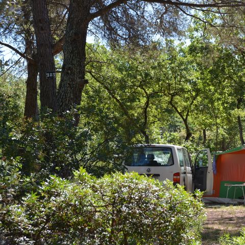 Camping Domaine de la Bergerie - Camping Alpes-Maritimes - Afbeelding N°4