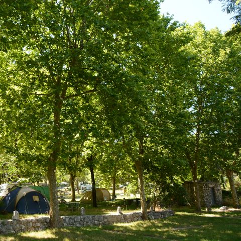 Camping Domaine de la Bergerie - Camping Alpes-Maritimes - Afbeelding N°5