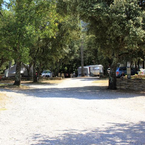 Camping Les chênes - Camping Gard - Afbeelding N°4