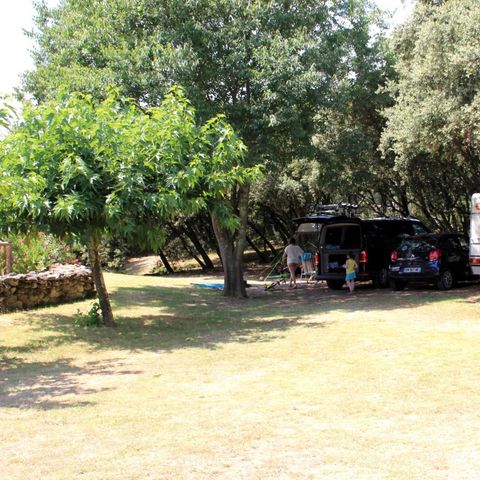 Camping Les chênes - Camping Gard - Afbeelding N°5