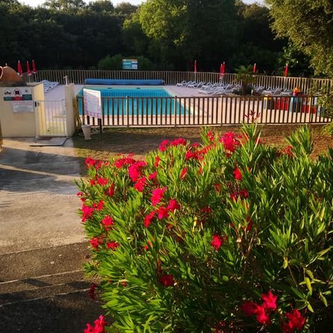 Camping Les chênes - Camping Gard - Afbeelding N°2