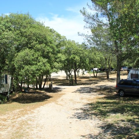 Camping Les chênes - Camping Gard - Afbeelding N°3