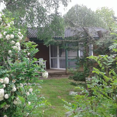 Camping Municipal La Forêt - Camping Tarn - Afbeelding N°6