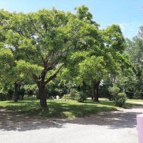 Camping Le Garanel - Camping Gard - Afbeelding N°3