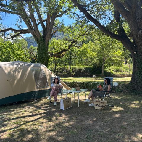 STAANPLAATS - Standplaats tent, caravan of camper + voertuig