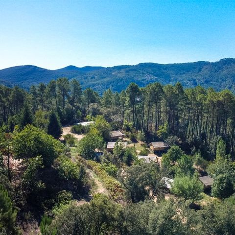 Bivouac nature - Camping Gard - Afbeelding N°2