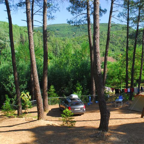 Camping La Forêt - Camping Gard - Afbeelding N°3