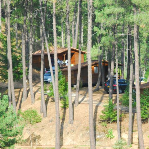 Camping La Forêt - Camping Gard - Afbeelding N°4