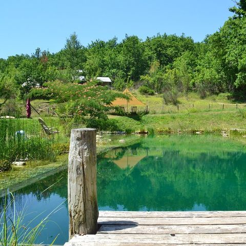 Le Domaine Le Camp - Camping Tarn-et-Garonne - Afbeelding N°2