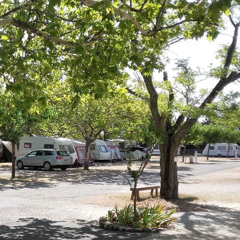 Camping Municipal - Camping Drôme - Afbeelding N°3