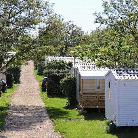 Camping Carrefour De L'Ardèche - Ardèche - Afbeelding N°6