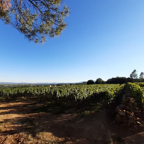 Camping Du Vignal - Ardèche - Afbeelding N°6