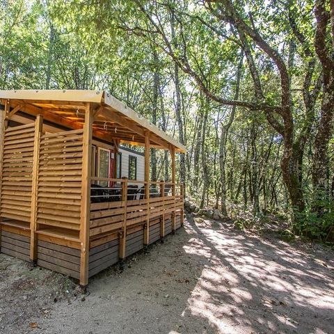 Stacaravan 6 personen - Cottage Premium Cantharel Trio 3 slk. Bos - TV - Afwasmachine - Wifi
