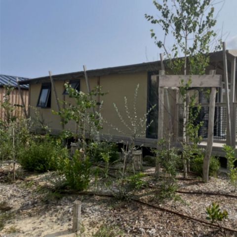 Safaritent 5 personen - TENTE LODGE "DUNE" (ext. canvas) 2 sl.k. 4/5 pl.