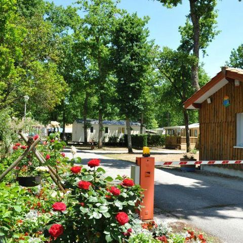 Flower Camping la Canadienne - Camping Gironde - Afbeelding N°5
