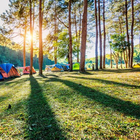 Le Petit Bois 46 - Village de gites et Camping - Camping Lot - Afbeelding N°2