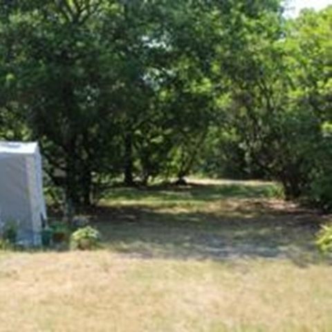 STAANPLAATS - ZUIVER CAMPING