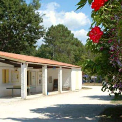 Camping Le Littoral - Camping Gironde - Afbeelding N°5
