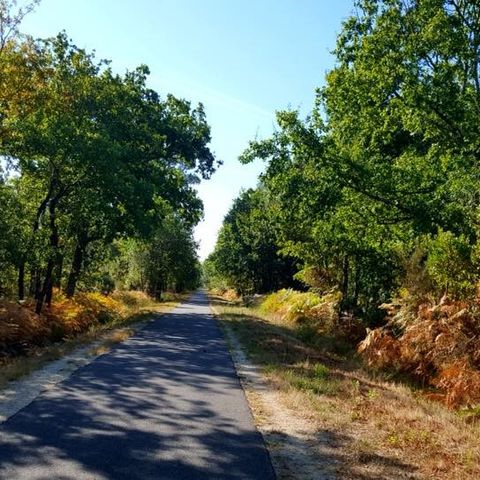 Camping Le Littoral - Camping Gironde - Afbeelding N°6