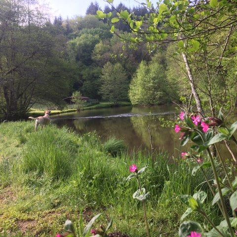 Camping La Chatonnière - Camping Dordogne - Afbeelding N°2