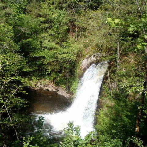 Camping La Vallée - Camping Puy-de-Dôme - Afbeelding N°6