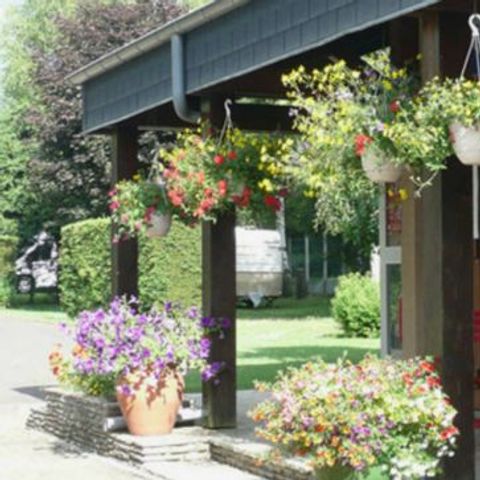 Camping Les Dômes - Camping Puy-de-Dôme - Afbeelding N°6