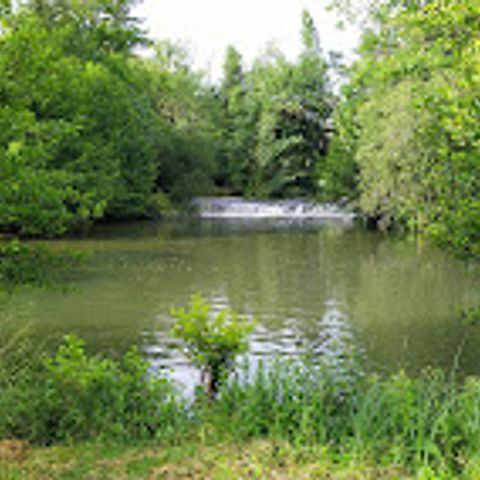 Camping Municipal Le Champion - Camping Charente - Afbeelding N°3